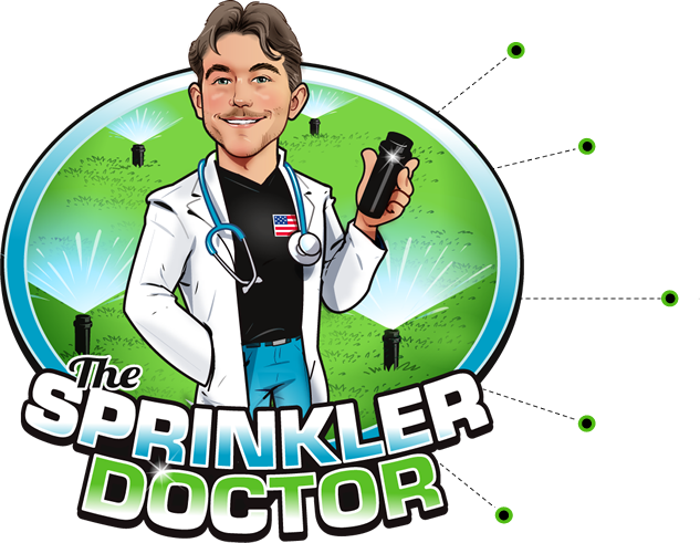 why choose us in allen tx